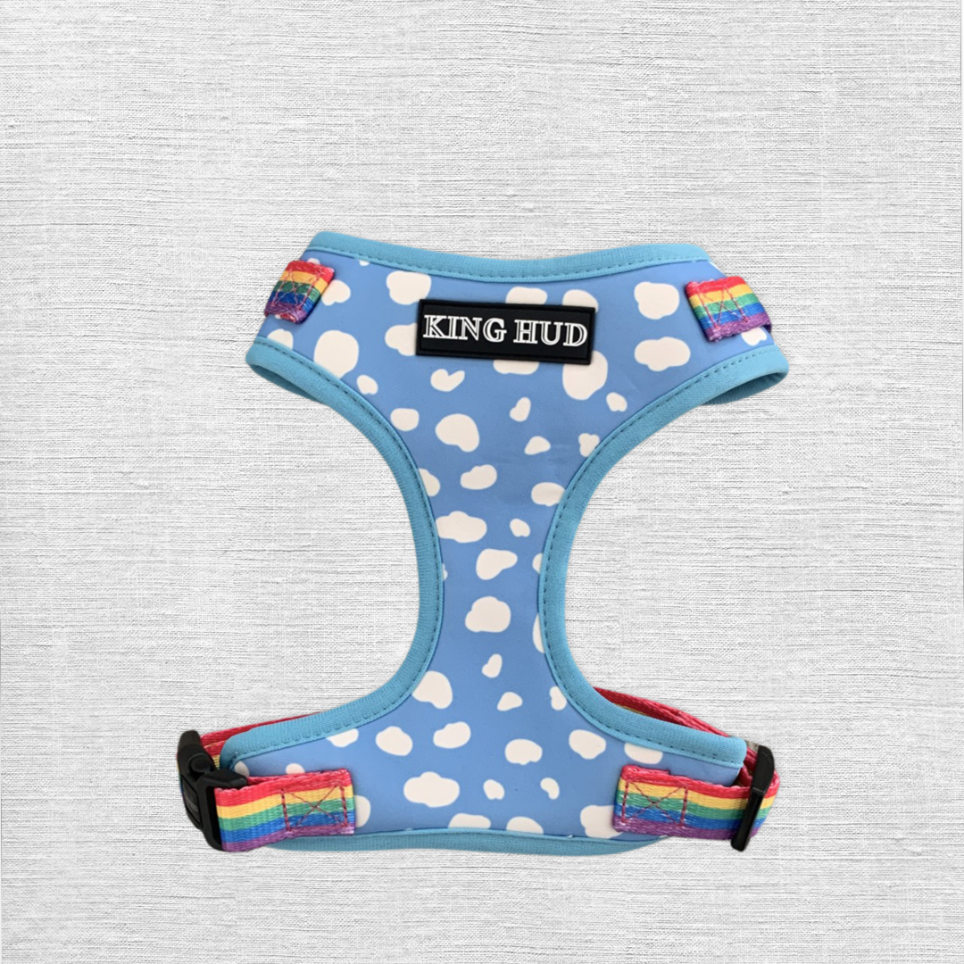 Rainbow dog harness. Cute & stylish dog accessories. Brisbane based