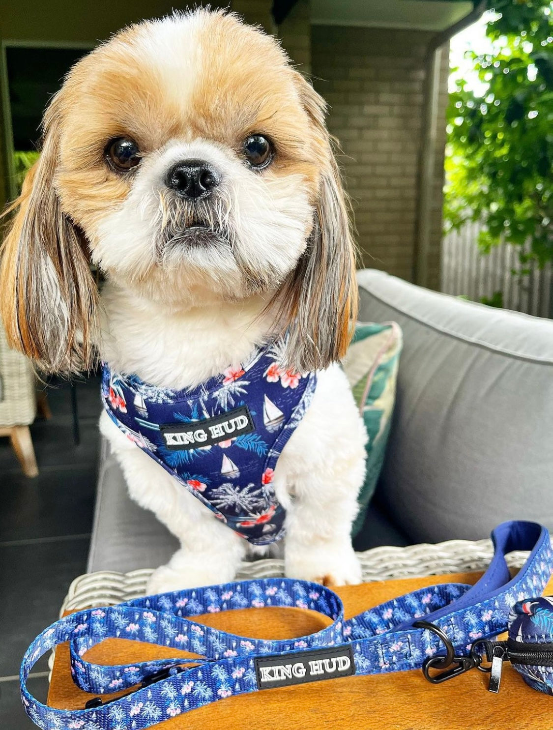Dog harness, cute and stylish dog accessories for your pups.