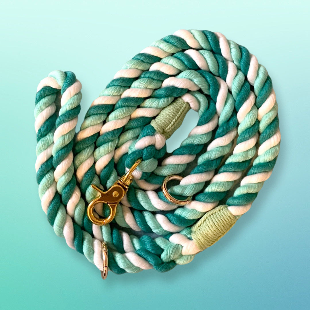 Rope Dog Leash