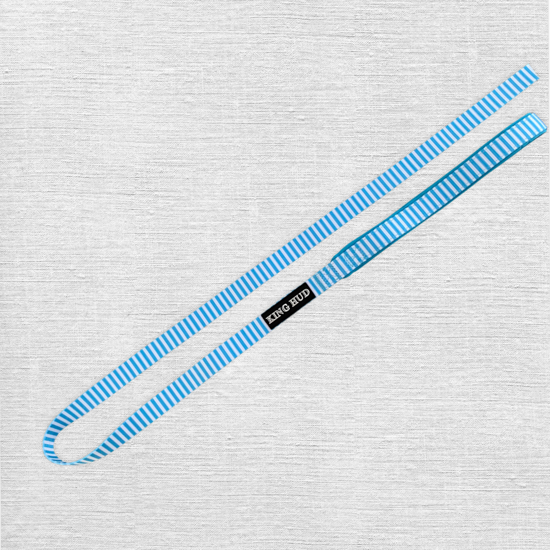 Blue Stripes Leash