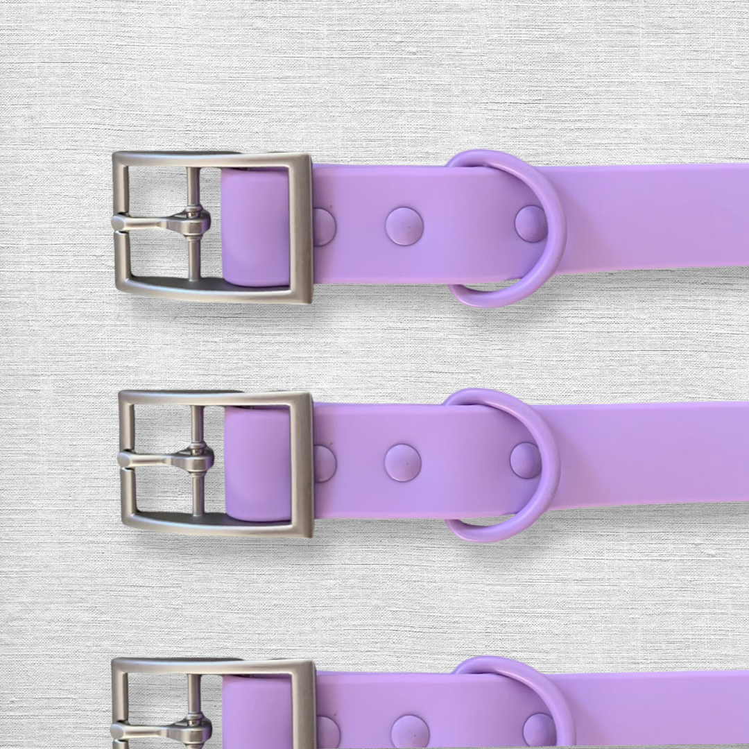 Waterproof Collar - Purple