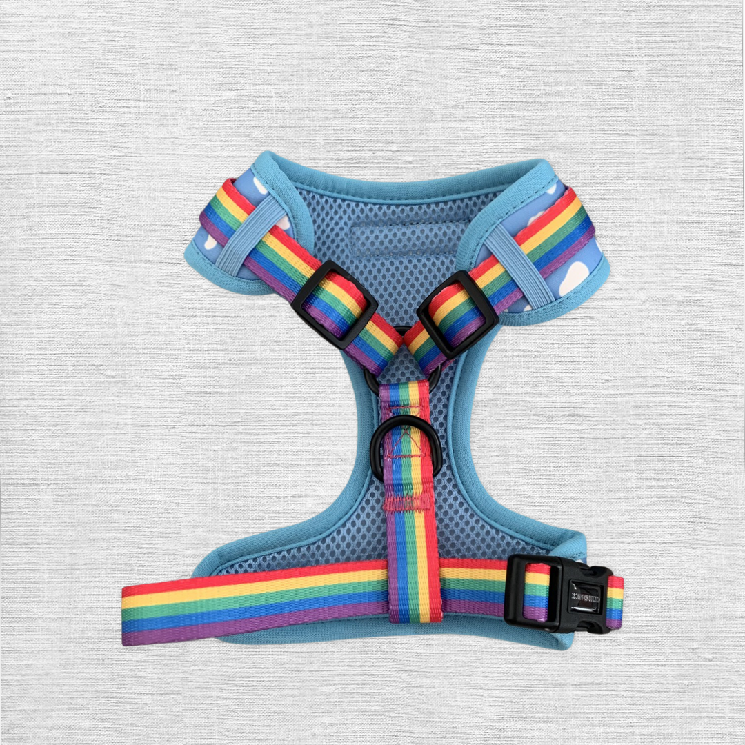 Rainbow Clouds Adjustable Dog Harness