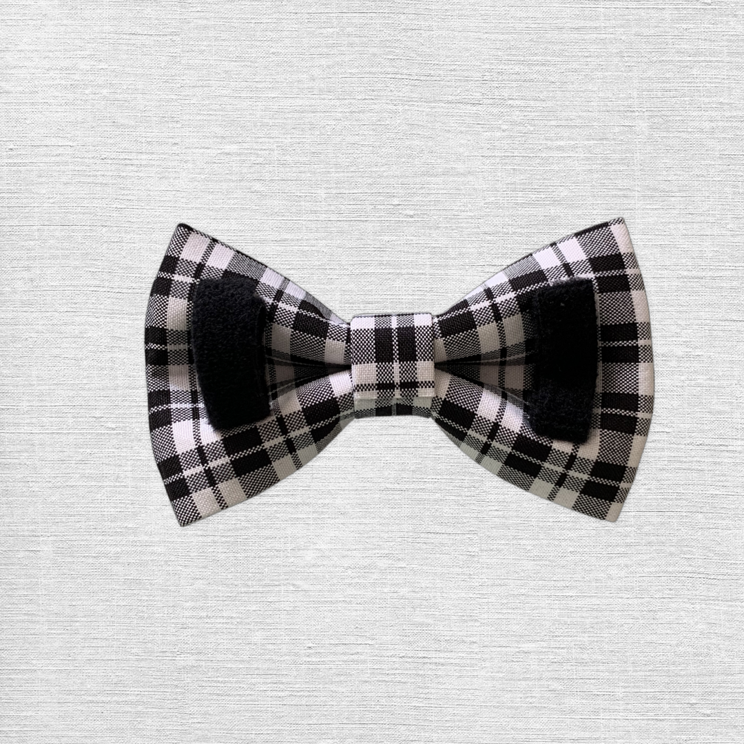 Black & White Bow
