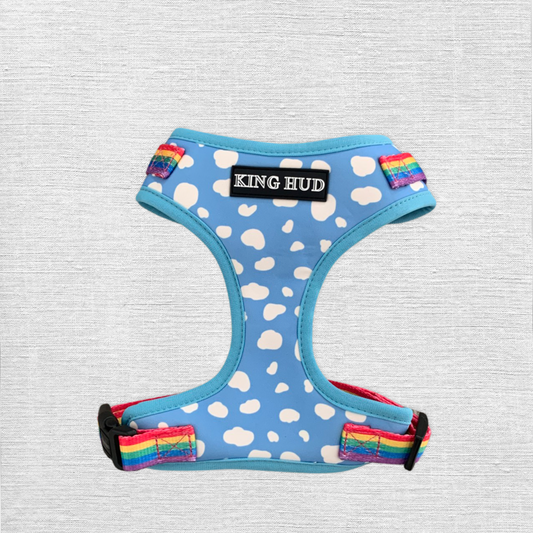 Rainbow dog harness.  Cute & stylish dog accessories.  Brisbane based