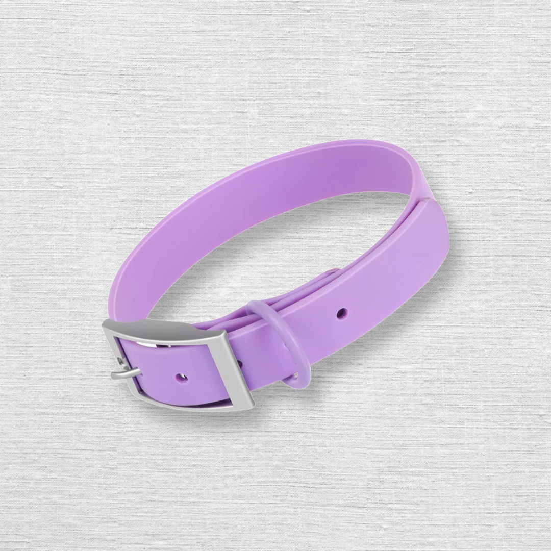 Waterproof Collar - Purple
