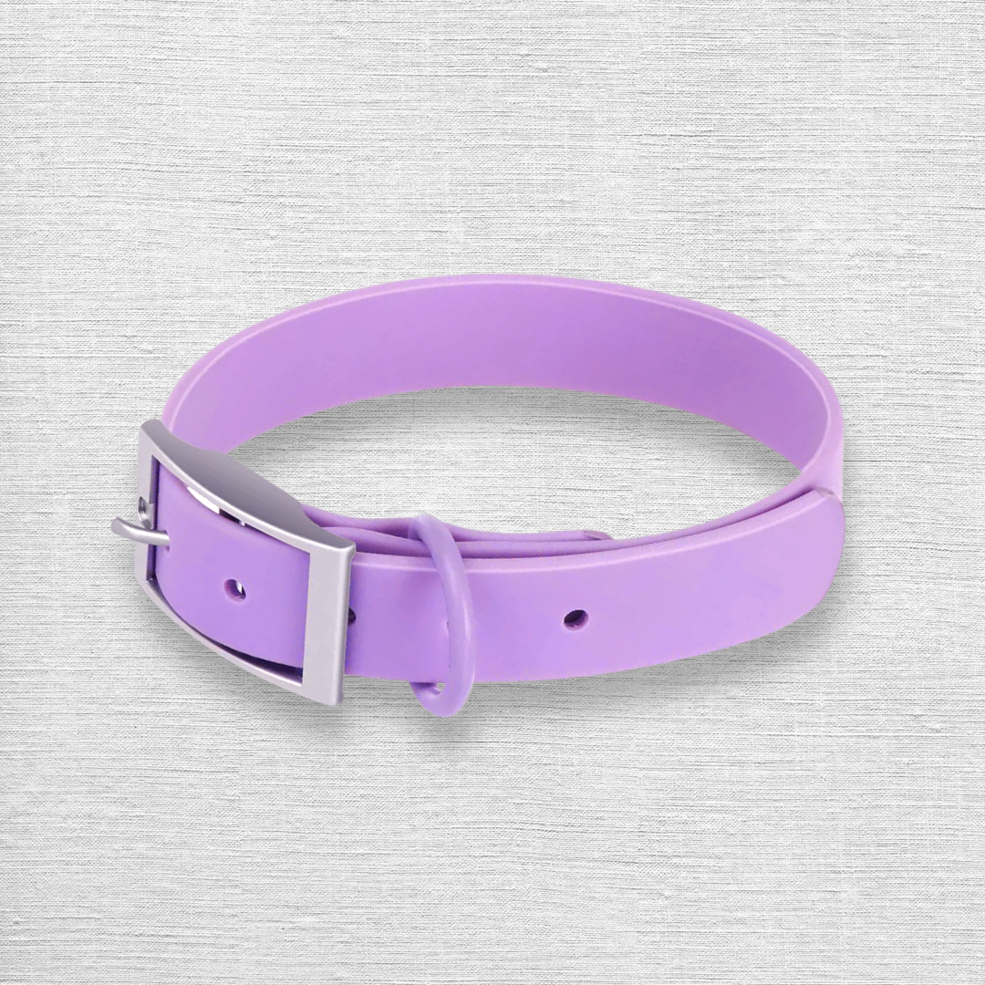 waterproof dog collar