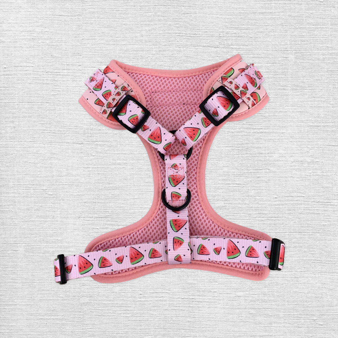 Watermelon Adjustable Dog Harness