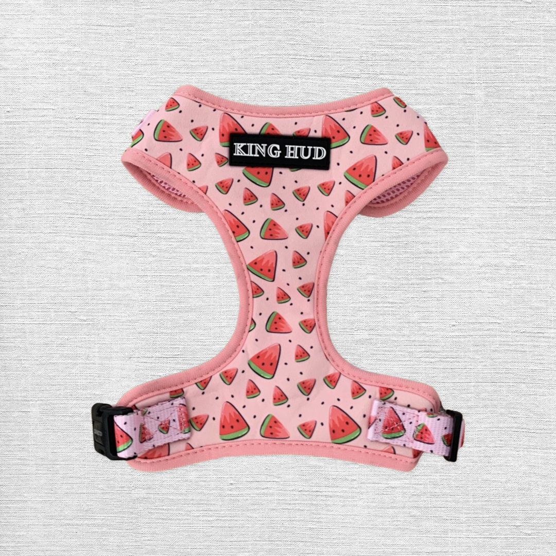 Watermelon Adjustable Dog Harness