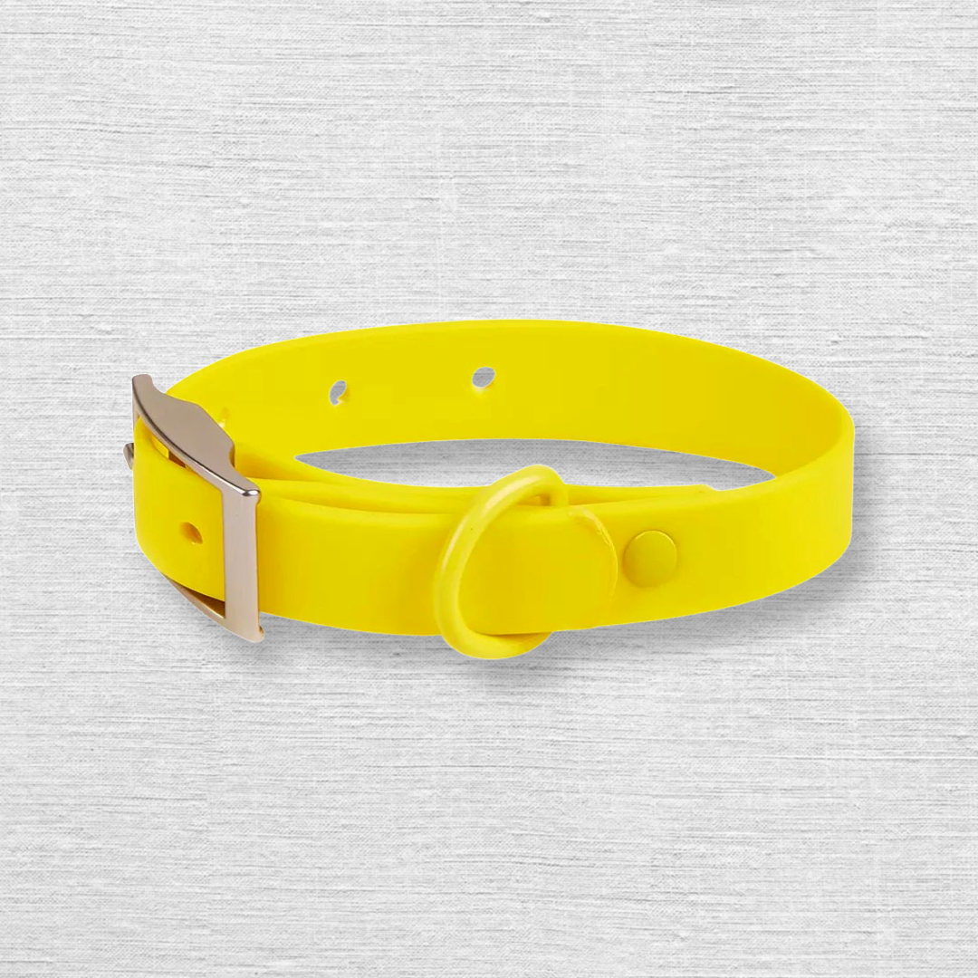 waterproof dog collar