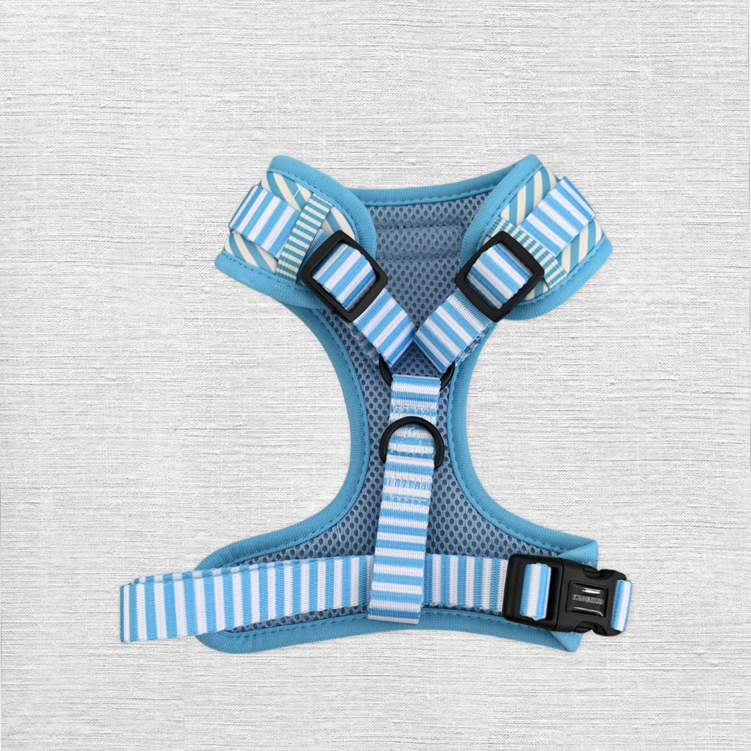 Blue Stripes Adjustable Dog Harness