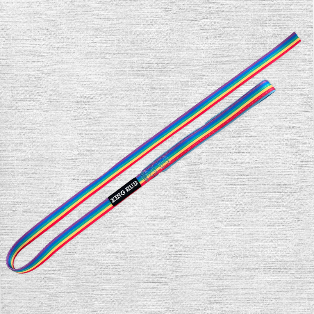 Rainbow Clouds Leash